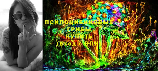 ГАЛЛЮЦИНОГЕННЫЕ ГРИБЫ Алексин