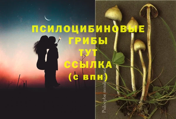 ГАЛЛЮЦИНОГЕННЫЕ ГРИБЫ Алексин