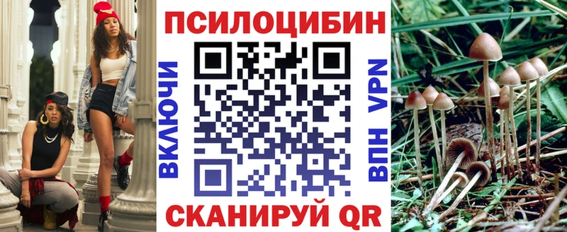 Галлюциногенные грибы Psilocybe  магазин  наркотиков  Салават 