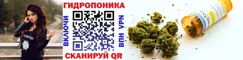 Канабис сатива МЕГА ССЫЛКА Салават наркота